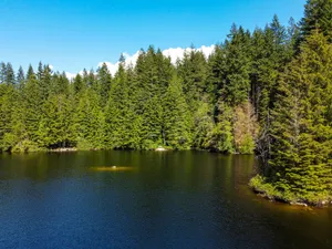 green trees beside river under blue sky during daytime jigsaw puzzle