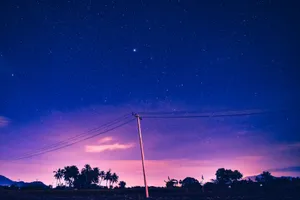 silhouette of trees under blue sky during night time jigsaw puzzle