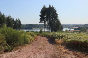 Breathtaking summer view of Saint-Agnan Reservoir surrounded by lush greenery in Bourgogne-Franche-Comté. jigsaw puzzle