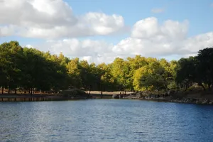 Serene lakeside view with lush green trees and cloudy sky in Benalmádena, perfect for nature lovers. jigsaw puzzle