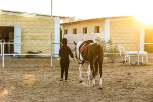 A person leads a horse at a ranch on a sunny day, showcasing the tranquil farm life. jigsaw puzzle