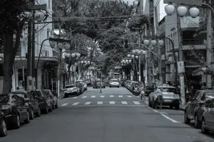 Black and white image of a bustling São Paulo street filled with cars and pedestrians. jigsaw puzzle