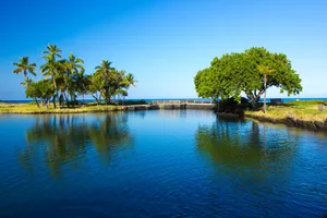 Relaxing view of a tropical lagoon with palm trees and clear blue sky in Puako, Hawaii. jigsaw puzzle