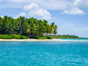 Idyllic exotic sandy beach with green lush palms near azure rippling sea on sunny clear day jigsaw puzzle
