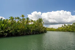 Lush tropical lagoon with palm trees and vibrant blue sky, perfect for vacation vibes. jigsaw puzzle