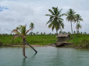 Peaceful tropical scene with palm trees and a hut by a body of water in Southeast Brazil. jigsaw puzzle