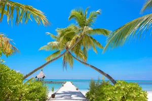 Idyllic tropical beach view with palm trees and pier in Maldives, ideal for relaxation and vacation. jigsaw puzzle