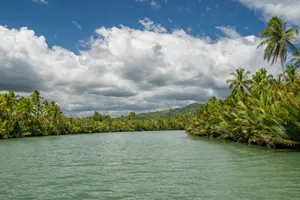 Scenic view of a tropical river surrounded by lush palm trees under a bright blue sky. jigsaw puzzle