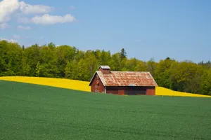 Vibrant rural landscape of a red barn amidst green and yellow fields in Jönköping, Sweden. jigsaw puzzle