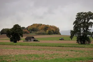 Serene autumn farm landscape with a wooden barn, rolling fields, trees, and a distant tractor under a cloudy sky. jigsaw puzzle