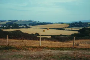 A serene rural landscape featuring golden hayfields and rolling hills under a clear sky. jigsaw puzzle