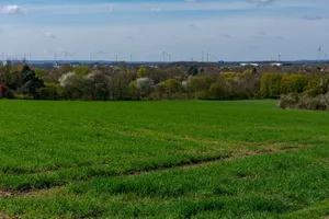 A lush green field under a blue sky with wind turbines in Coesfeld, Germany. jigsaw puzzle