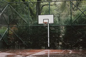 A wet basketball court surrounded by trees, after rain, offers a serene outdoor sports scene. jigsaw puzzle