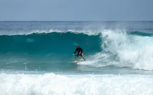 A surfer skillfully rides a wave in Pemambuco, Brazil, capturing the thrill of the ocean. jigsaw puzzle