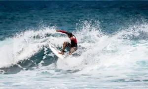 Surfer skillfully riding the ocean waves in Brazil, capturing the thrill of surfing. jigsaw puzzle