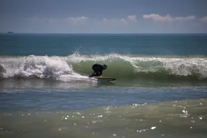 A surfer expertly rides a powerful wave on a sunny day at the beach. jigsaw puzzle