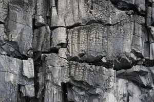 High-resolution close-up of charred wood texture with cracked details and dark, burnt appearance. jigsaw puzzle
