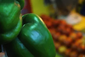 Close-up of a fresh green bell pepper with blurred background of other vegetables. jigsaw puzzle