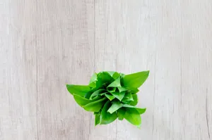 Top view of fresh green herbs on a rustic wooden surface, perfect for culinary and natural themes. jigsaw puzzle