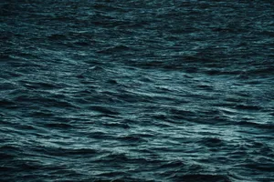A serene view of the ocean's surface showing gentle, dark blue waves. jigsaw puzzle