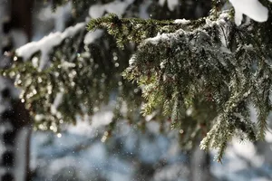 snow jigsaw puzzle