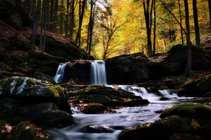 stream jigsaw puzzle