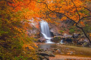 autumn jigsaw puzzle