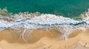 beach jigsaw puzzle