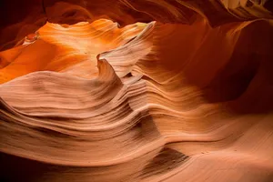 antelope jigsaw puzzle