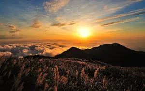sunset jigsaw puzzle