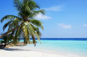 maldives jigsaw puzzle