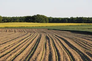 agriculture jigsaw puzzle