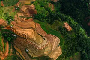 vietnam jigsaw puzzle