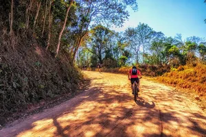 road jigsaw puzzle