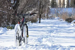bike jigsaw puzzle
