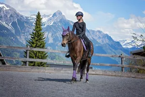 horse jigsaw puzzle