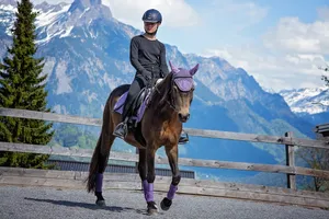 horse jigsaw puzzle