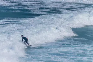 surfing jigsaw puzzle