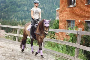 horse jigsaw puzzle