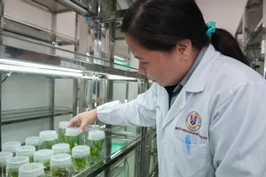 plant tissue culture facility jigsaw puzzle
