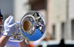 trumpet jigsaw puzzle