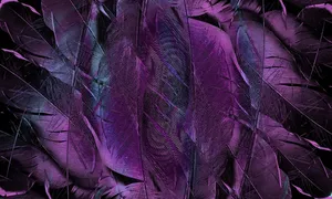 feather jigsaw puzzle