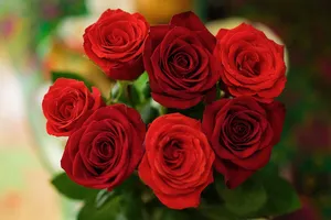 roses jigsaw puzzle