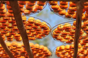 natural jigsaw puzzle