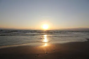 sea jigsaw puzzle