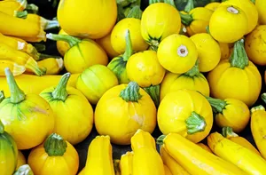zucchinis jigsaw puzzle