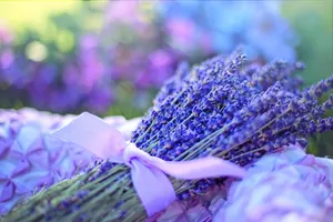 lavenders jigsaw puzzle